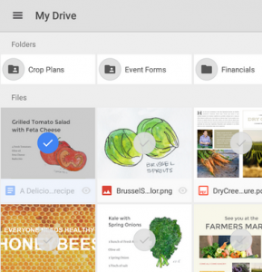app duolingo android