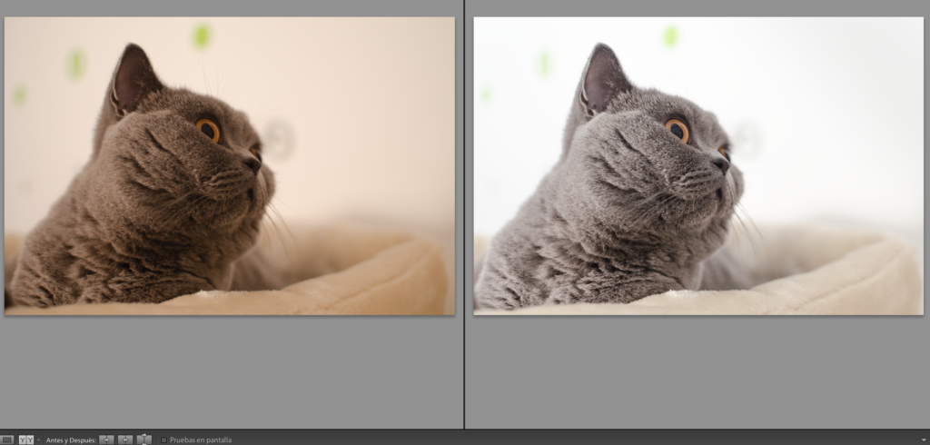 edición RAW lightroom antes y después
